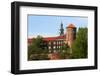 Wawel-StudioBarcelona-Framed Photographic Print