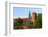 Wawel-StudioBarcelona-Framed Photographic Print