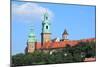 Wawel-Fotokris-Mounted Photographic Print