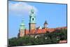 Wawel-Fotokris-Mounted Photographic Print