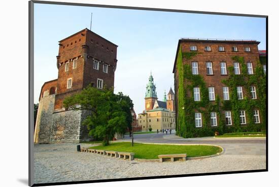 Wawelcathedral on the Wawel Hill in Krakow (Cracow)-luq-Mounted Photographic Print