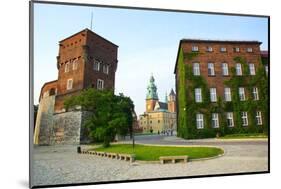 Wawelcathedral on the Wawel Hill in Krakow (Cracow)-luq-Mounted Photographic Print