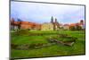 Wawelcathedral on the Wawel Hill in Krakow (Cracow)-luq-Mounted Photographic Print