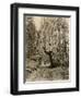 Wawona, a Giant Sequoia in Yosemite's Mariposa Grove, California, Circa 1890-null-Framed Giclee Print