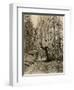 Wawona, a Giant Sequoia in Yosemite's Mariposa Grove, California, Circa 1890-null-Framed Giclee Print