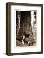 Wawona Big Tree and Auto, 1919-null-Framed Photographic Print