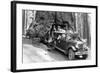 Wawona Tree-null-Framed Art Print