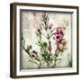 Wax Flower II-James Guilliam-Framed Giclee Print