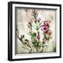 Wax Flower II-James Guilliam-Framed Giclee Print