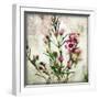 Wax Flower II-James Guilliam-Framed Giclee Print