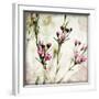 Wax Flower III-James Guilliam-Framed Giclee Print