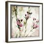 Wax Flower III-James Guilliam-Framed Giclee Print