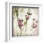 Wax Flower III-James Guilliam-Framed Giclee Print