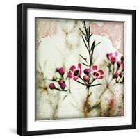 Wax Flower IV-James Guilliam-Framed Giclee Print