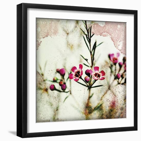 Wax Flower IV-James Guilliam-Framed Giclee Print