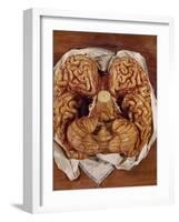 Wax Sculpture of a Brain-Clemente Susini-Framed Giclee Print