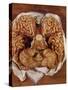 Wax Sculpture of a Brain-Clemente Susini-Stretched Canvas