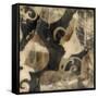 Waxen Treasures II-Jennifer Goldberger-Framed Stretched Canvas