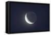 Waxing Crescent Moon with Earthshine-null-Framed Stretched Canvas