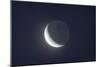 Waxing Crescent Moon with Earthshine-null-Mounted Photographic Print