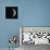 Waxing Crescent Moon-Eckhard Slawik-Stretched Canvas displayed on a wall