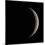 Waxing Crescent Moon-Eckhard Slawik-Mounted Photographic Print