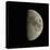 Waxing Gibbous Moon-Eckhard Slawik-Stretched Canvas