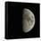 Waxing Gibbous Moon-Eckhard Slawik-Framed Stretched Canvas