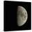 Waxing Gibbous Moon-Eckhard Slawik-Stretched Canvas