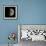 Waxing Gibbous Moon-Eckhard Slawik-Framed Premium Photographic Print displayed on a wall