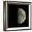 Waxing Gibbous Moon-Eckhard Slawik-Framed Premium Photographic Print