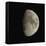 Waxing Gibbous Moon-Eckhard Slawik-Framed Stretched Canvas