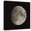 Waxing Gibbous Moon-Eckhard Slawik-Stretched Canvas