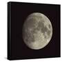 Waxing Gibbous Moon-Eckhard Slawik-Framed Stretched Canvas