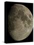 Waxing Gibbous Moon-Eckhard Slawik-Stretched Canvas