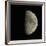 Waxing Gibbous Moon-Eckhard Slawik-Framed Photographic Print