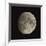 Waxing Gibbous Moon-Eckhard Slawik-Framed Photographic Print