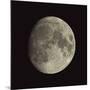 Waxing Gibbous Moon-Eckhard Slawik-Mounted Photographic Print