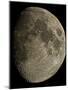 Waxing Gibbous Moon-Eckhard Slawik-Mounted Photographic Print