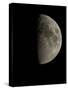 Waxing Half Moon-Eckhard Slawik-Stretched Canvas