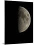 Waxing Half Moon-Eckhard Slawik-Mounted Photographic Print