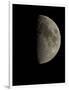 Waxing Half Moon-Eckhard Slawik-Framed Photographic Print