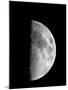 Waxing Half Moon-John Sanford-Mounted Premium Photographic Print