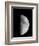 Waxing Half Moon-John Sanford-Framed Photographic Print