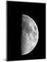 Waxing Half Moon-John Sanford-Mounted Photographic Print