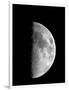 Waxing Half Moon-John Sanford-Framed Photographic Print