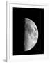 Waxing Half Moon-John Sanford-Framed Photographic Print