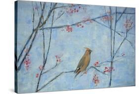 Waxwing, 2013-Ruth Addinall-Stretched Canvas