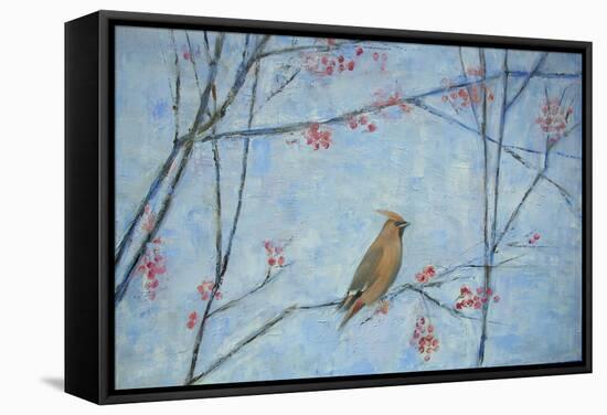 Waxwing, 2013-Ruth Addinall-Framed Stretched Canvas