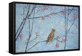 Waxwing, 2013-Ruth Addinall-Framed Stretched Canvas